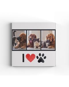 Paw Print Easy Book