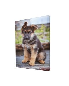 Standard Bar Customized Canvas Prints