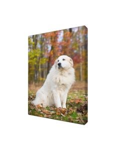 Wrapped Canvas Prints